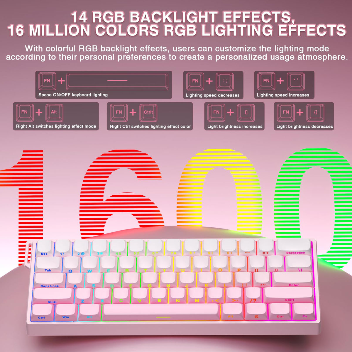 AULA WIN60 HE Mechanical Gaming Keyboard Wired,Hall Effect Magnetic Switches,Adjustable Actuation Rapid Trigger,8K Polling Rate,RGB Backlight,60% Percent Keyboard for Mac/Win (BLACK) (Pack of 2)