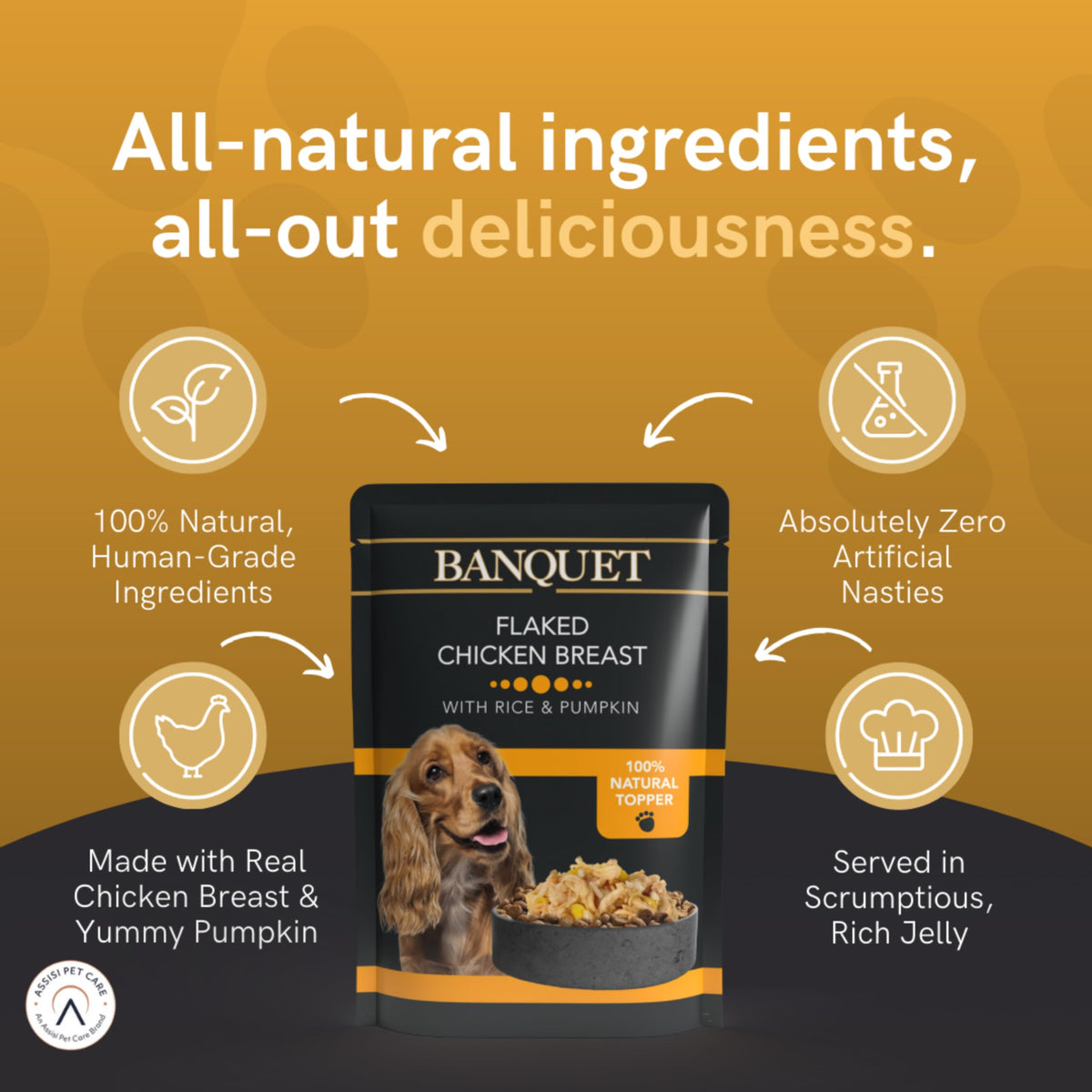HiLife Banquet Adult Wet Dog Food, Mixed Multipacks Classic Collection & Supreme Selection, Made with 100% Natural Ingredients (36 Pouches x 100g)