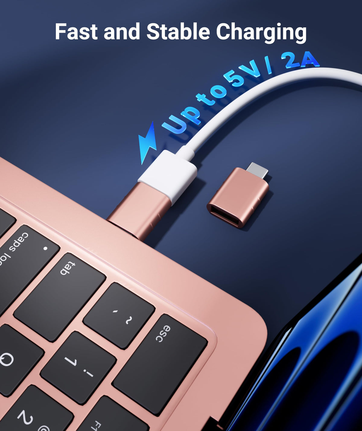 Syntech USB C to USB Adapter 2-Pack, Type C Male to USB 3.0 Female Adapter