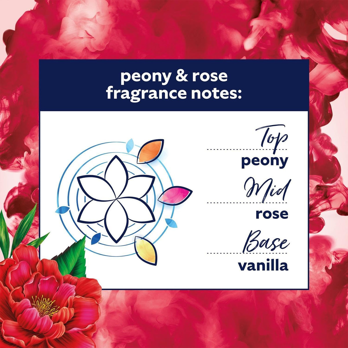 Comfort Creation Concentrated Fabric Conditioner with 100 Days of Long Lasting Fragrance and Softness Intense Liquid Fabric Softener 30 Washes, 900 ml (Peony & Rose, Buy 4)