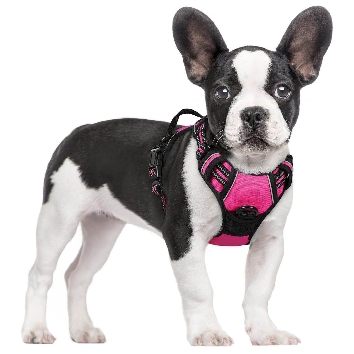 rabbitgoo Dog Harness Large Dog, No Pull Vest with Front Clip & Handle