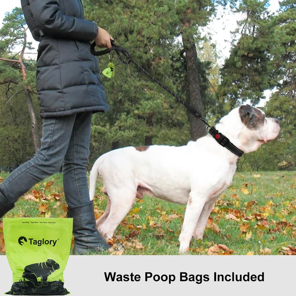 Taglory Rope Dog Lead with Soft Padded Handle – Reflective Rock Climbing Rope Lead for Small and Medium Dogs 120 cm 1.0 cm Black