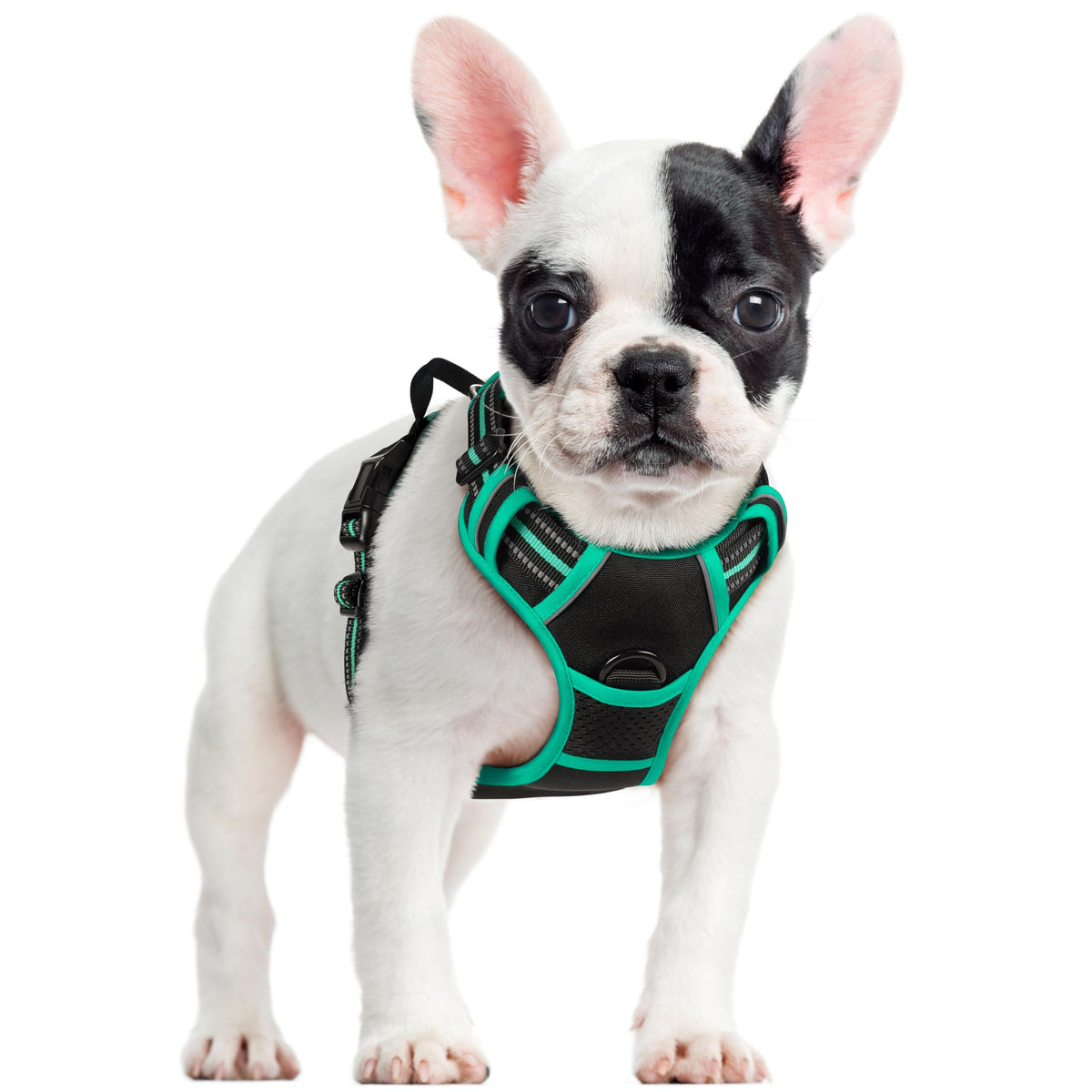 rabbitgoo Dog Harness Large Dog, No Pull Vest with Front Clip & Handle
