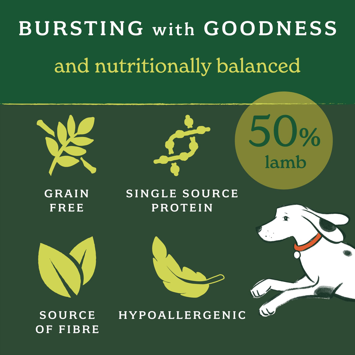 Forthglade Dry Dog Food, Lightly Baked, (2kg), Hypoallergenic and Grain Free Dog Food, Adult 1 Year +, Turkey With Sweet Potato, Completed and Balanced Meal, 50% Single Source Protein