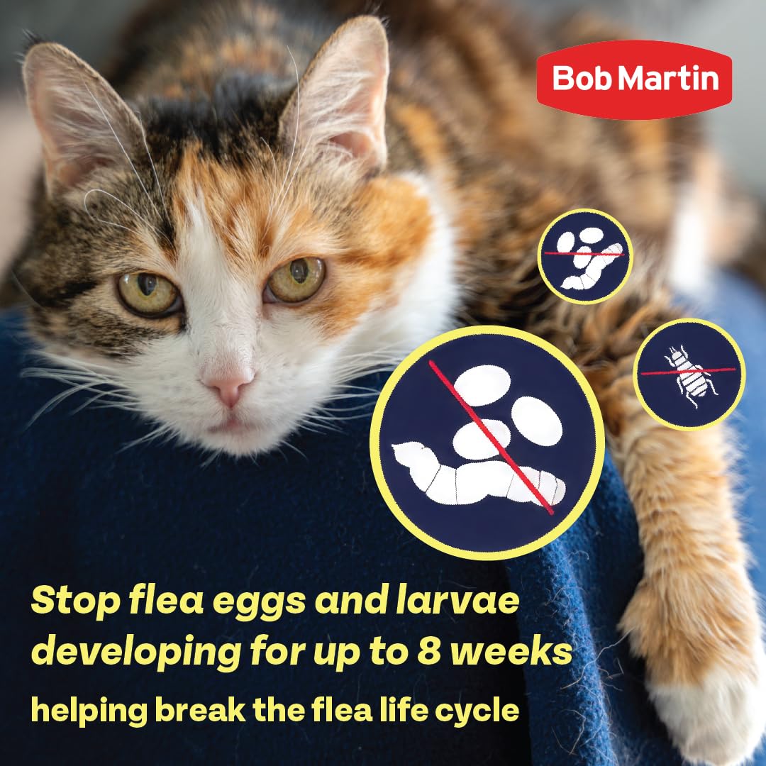 Bob Martin Clear Spot On Flea Treatment for Small Dogs (2-10kg) - Kills Fleas & Ticks (3 Pipettes)