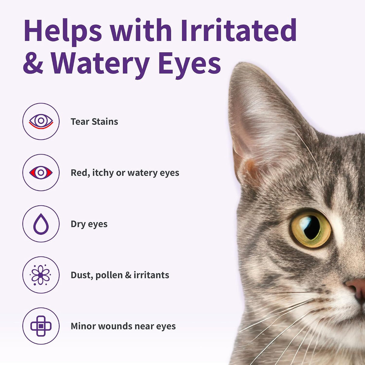 RenaSan Antiseptic Eye Drops (60 ml) – Eye Disinfection, Alcohol-Free, Non-Irritating and Natural Eye Cleaning Solution for Dogs, Cats, Reptiles, Poultry, Avian & Livestock (PACKAGING MAY VARY)
