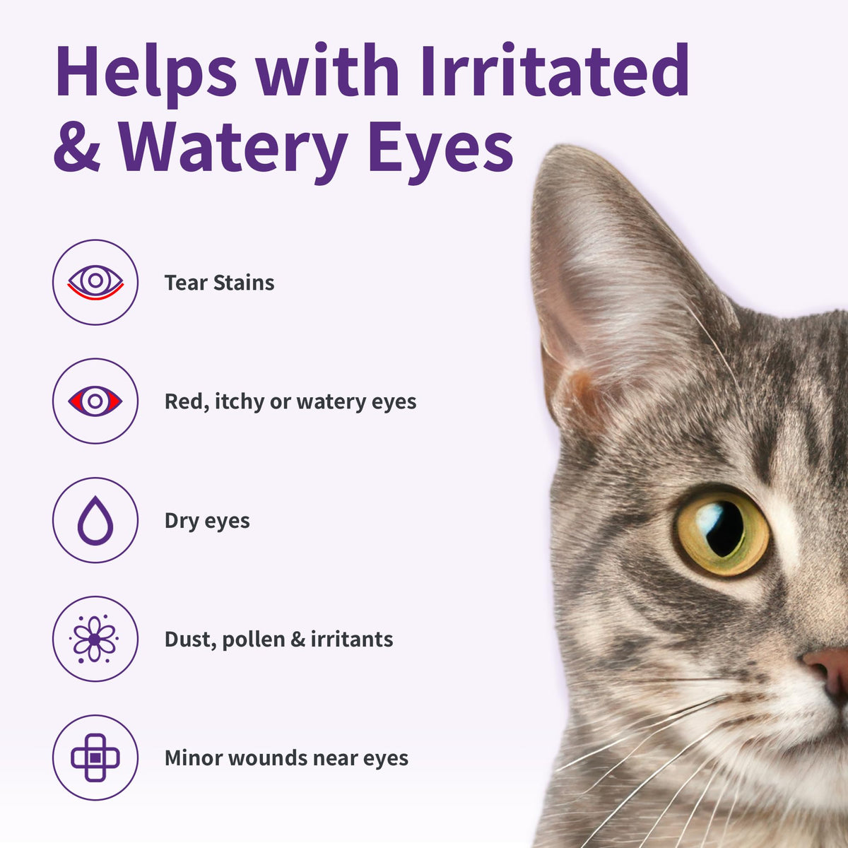 RenaSan Antiseptic Eye Drops (60 ml) – Eye Disinfection, Alcohol-Free, Non-Irritating and Natural Eye Cleaning Solution for Dogs, Cats, Reptiles, Poultry, Avian & Livestock (PACKAGING MAY VARY)