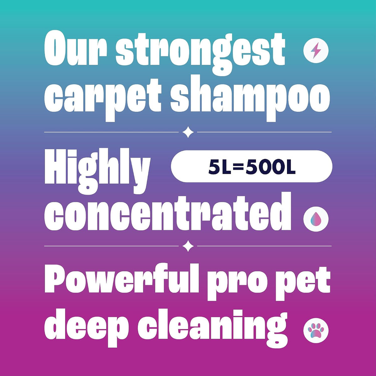 Dirtbusters Pet Pro Carpet Cleaner Shampoo Solution, Stain Remover (5L)