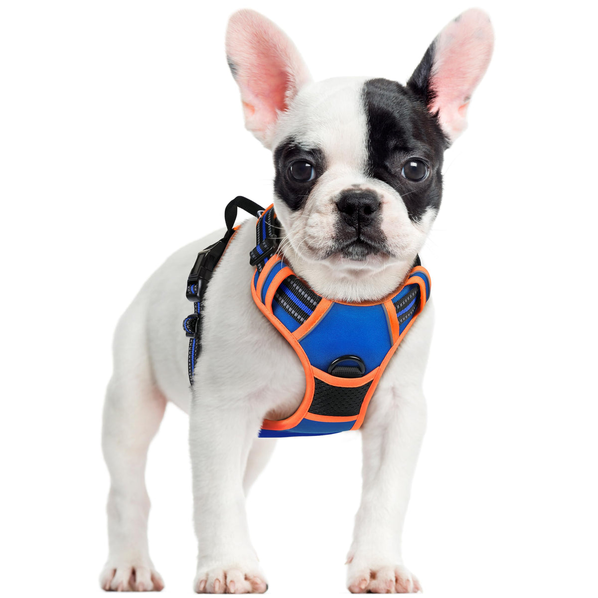 rabbitgoo Dog Harness Large Dog, No Pull Vest with Front Clip & Handle