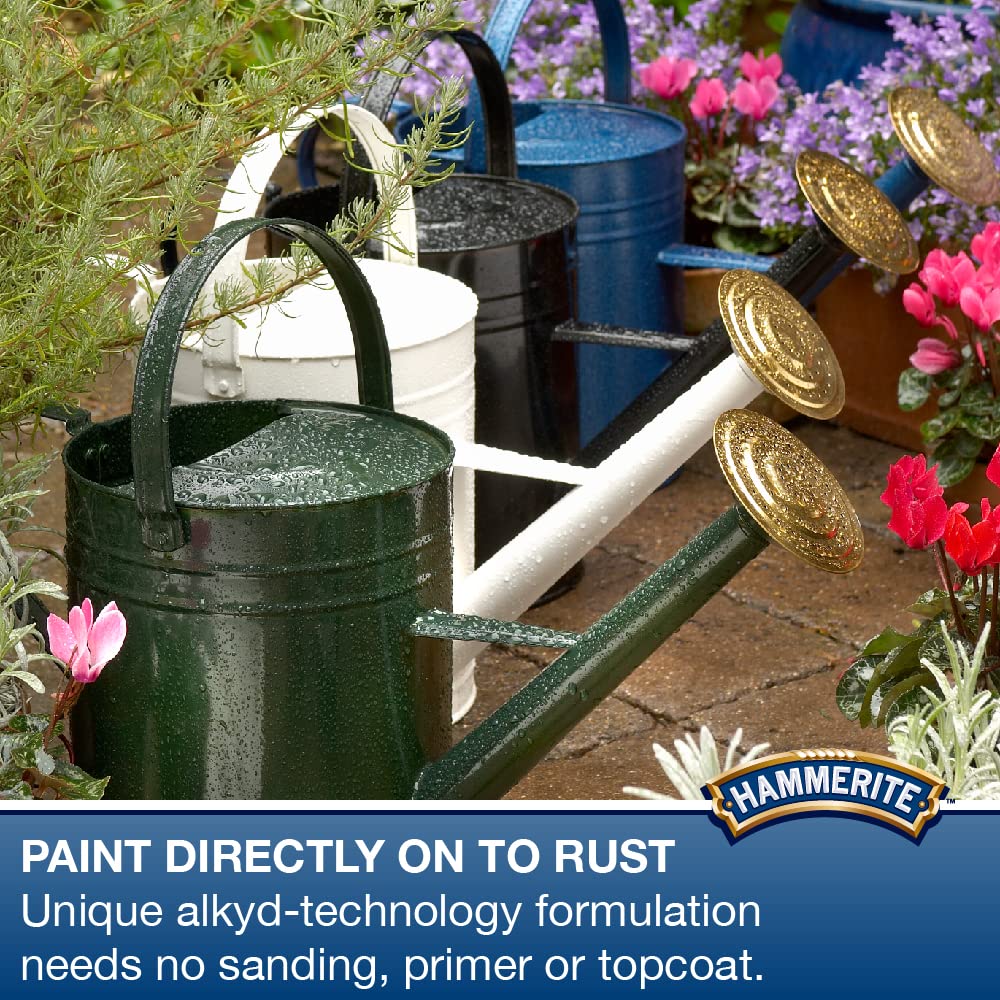 Hammerite Direct to Rust Metal Paint - Smooth Black Finish 250ML, 5084863