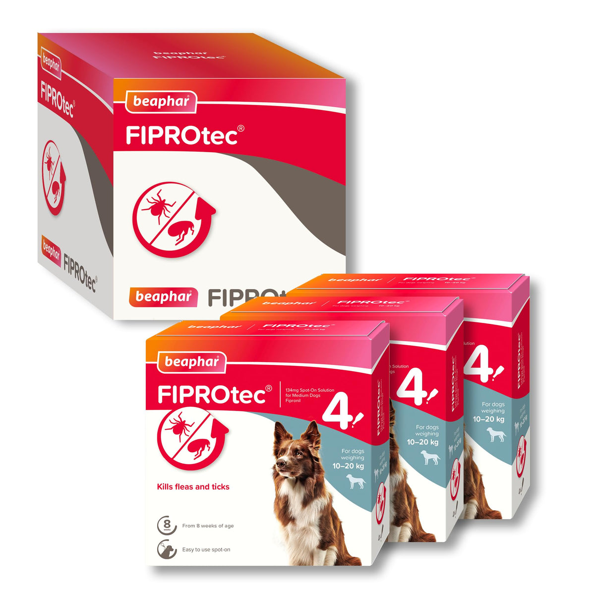 Beaphar - FIPROtec Spot-On Flea & Tick Treatment for Medium Dogs 10-20kg - 6 Pipettes - Kills Fleas & Ticks – Veterinary Medicine - Easy to Apply Monthly - Suitable for Dogs & Puppies from 8 Weeks