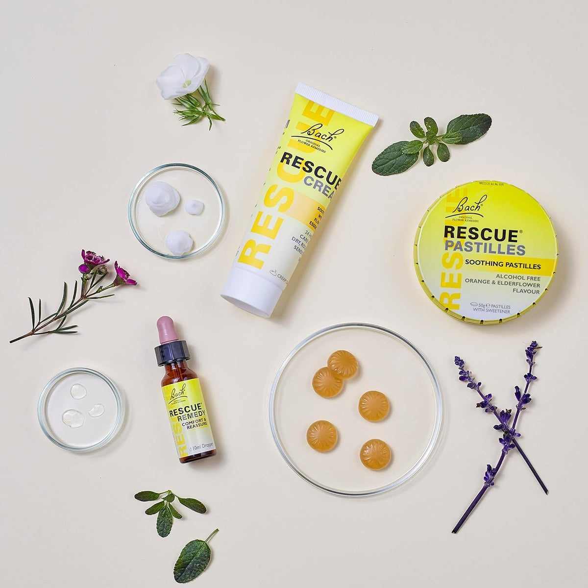 Rescue Remedy Pastilles | Orange & Elderflower Flavoured | Daily Support for Stressful Moments | Bach Original Flower Essences | Chewable Pastilles | 50g Travel Tin