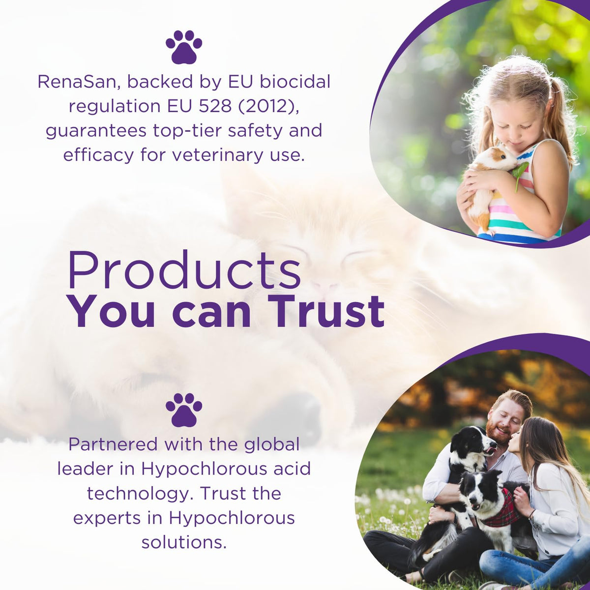 RenaSan Animal First Aid Spray (100ml) – Wound Disinfection, Kills Bacteria & Stops Itching, Alcohol-Free, Non-irritating, for Dogs, Cats & all other animals.