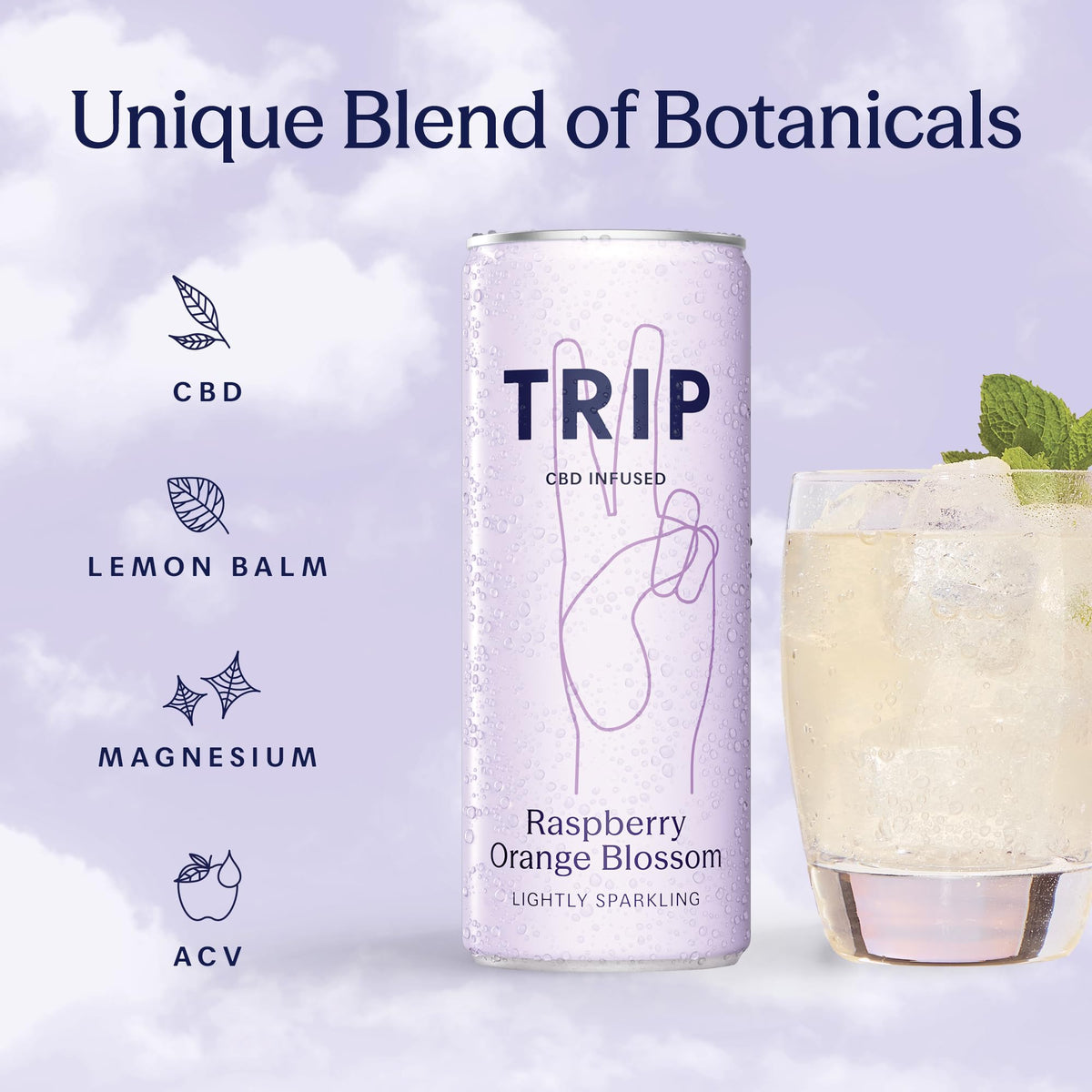 TRIP Sparkling Drink, Low Calorie, Vegan, Peach Ginger, 12 pack