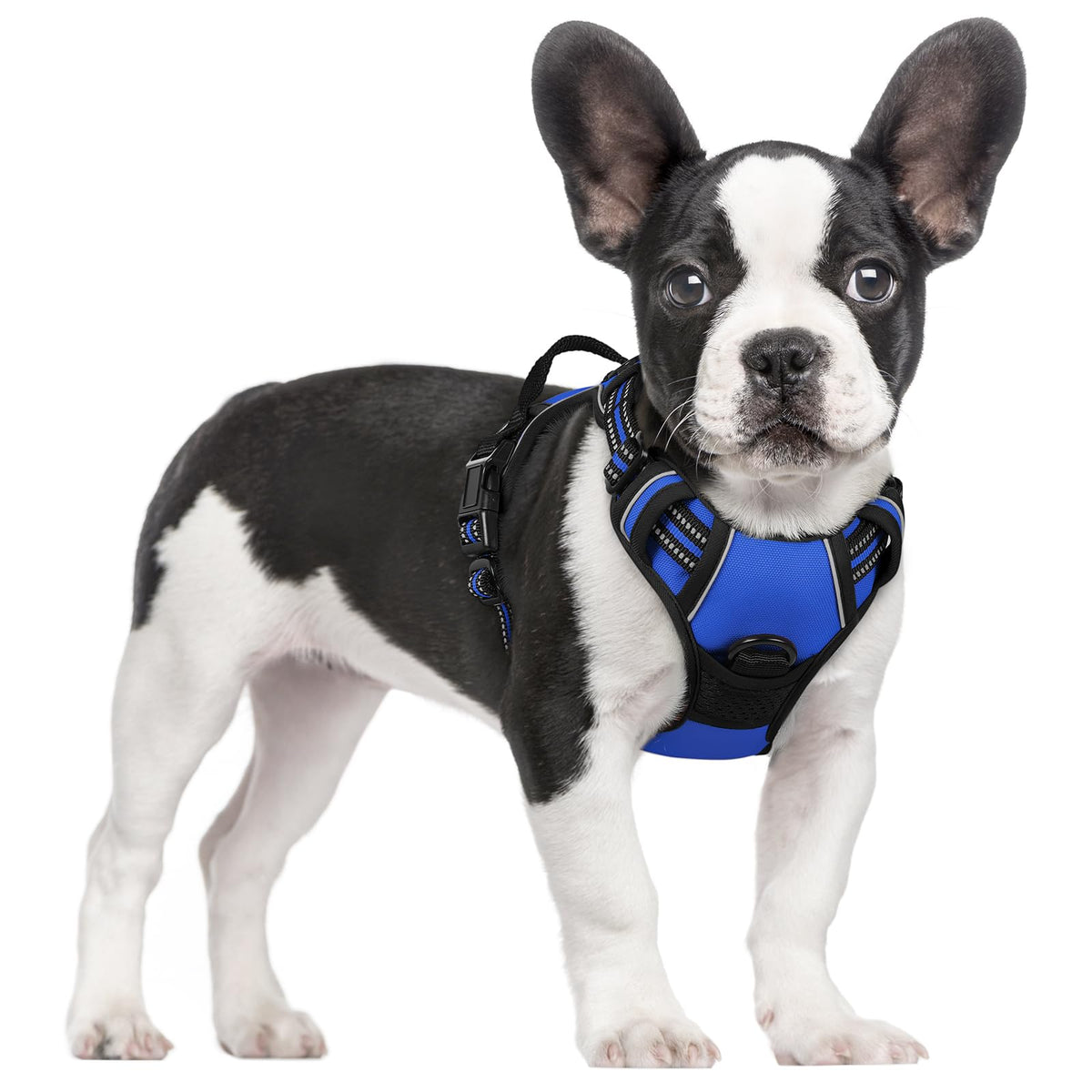 rabbitgoo Dog Harness Large Dog, No Pull Vest with Front Clip & Handle