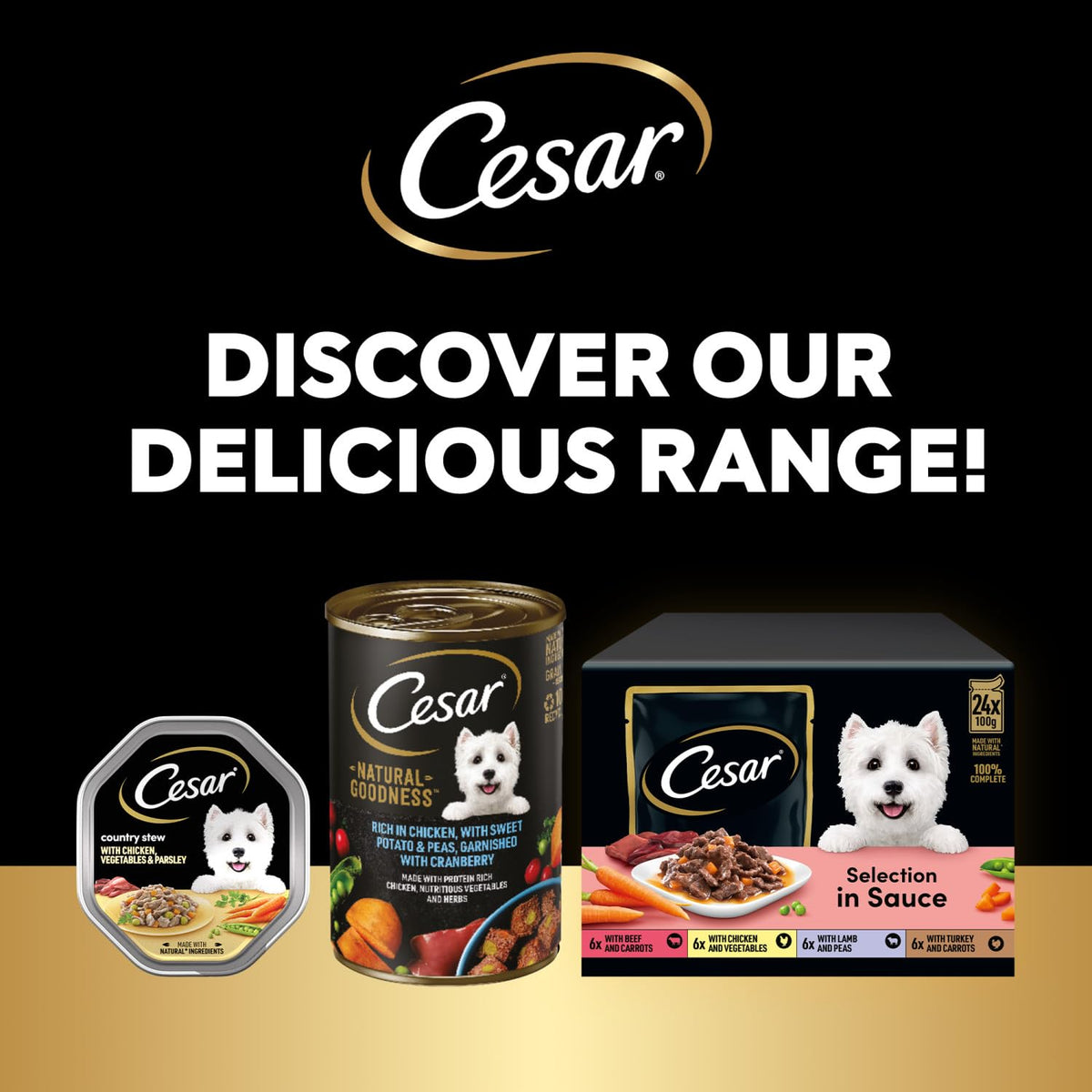 CESAR Pouch Selection in Jelly, Fresh Adult Wet Dog Food Pouches in Delicious Jelly with Succulent Meats and Vegetables, 48 x 100 g