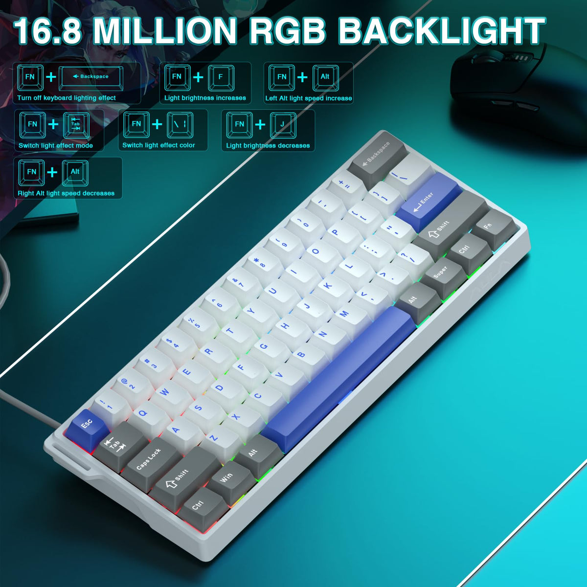 AULA WIN60 HE Mechanical Gaming Keyboard Wired,Hall Effect Magnetic Switches,Adjustable Actuation Rapid Trigger,8K Polling Rate,RGB Backlight,60% Percent Keyboard for Mac/Win (BLACK) (Pack of 2)
