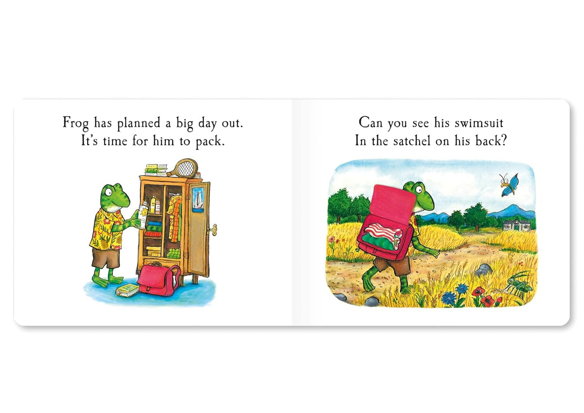 Frog's Day Out: A rhyming lift-the-flap board book, perfect for toddlers