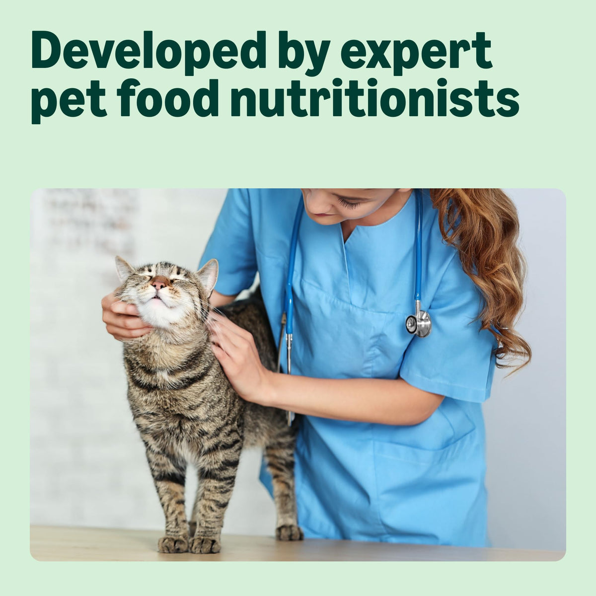 by Amazon Complete Dry Cat Food Rich in Chicken & Rice for Adult Cats, 1 Pack of 3 kg (Previously a Lifelong brand, same product)