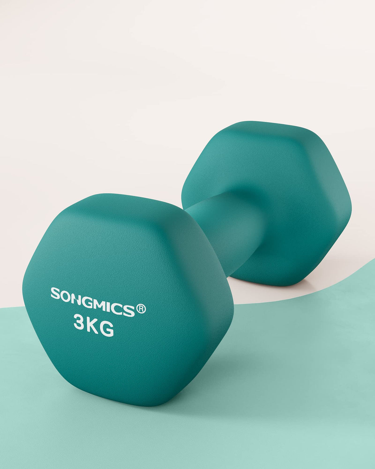 SONGMICS Set of 2 Hex Dumbbells with Neoprene Coating for Strength Training, Fitness, Home Workout