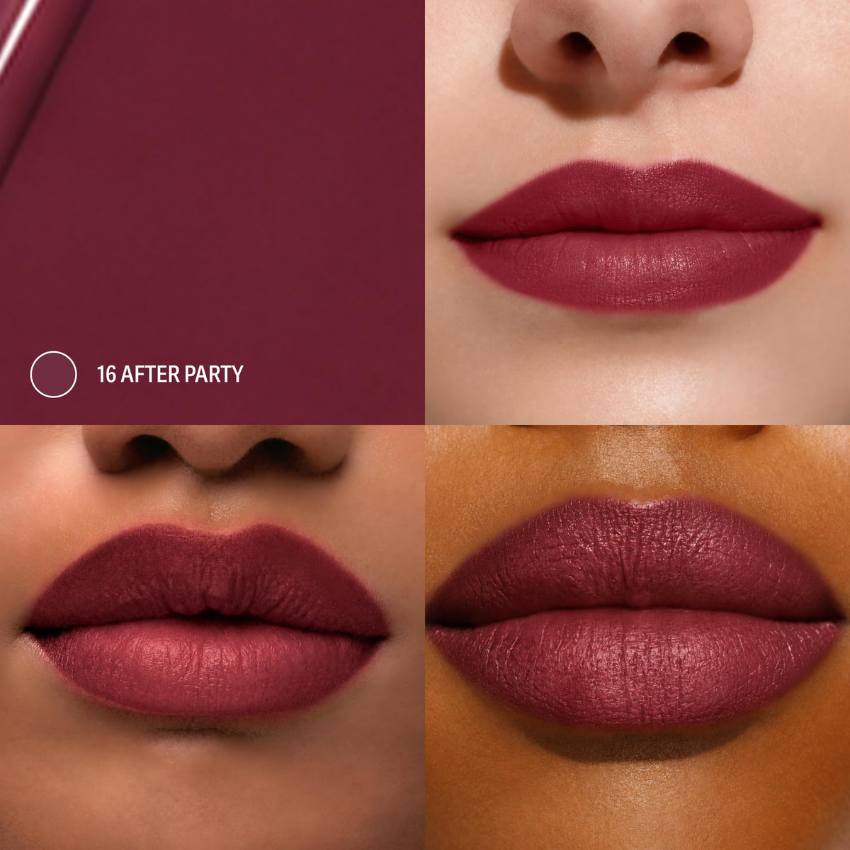 Sacheu Lip Liner STAY-N Peel Off Lip Stain, Longwear, p-INKED