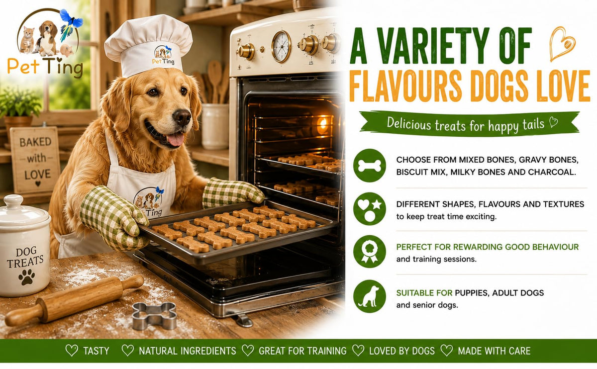 Premium Dog Biscuits Treats 1kg (Charcoal Cobs)