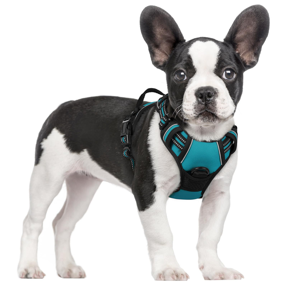 rabbitgoo Dog Harness Large Dog, No Pull Vest with Front Clip & Handle