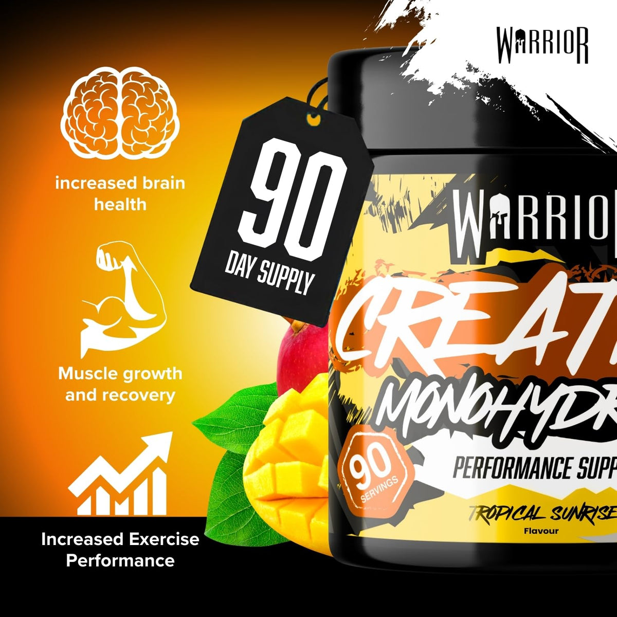 Warrior Creatine Monohydrate Powder 500g Pure Micronised (166 Servings)