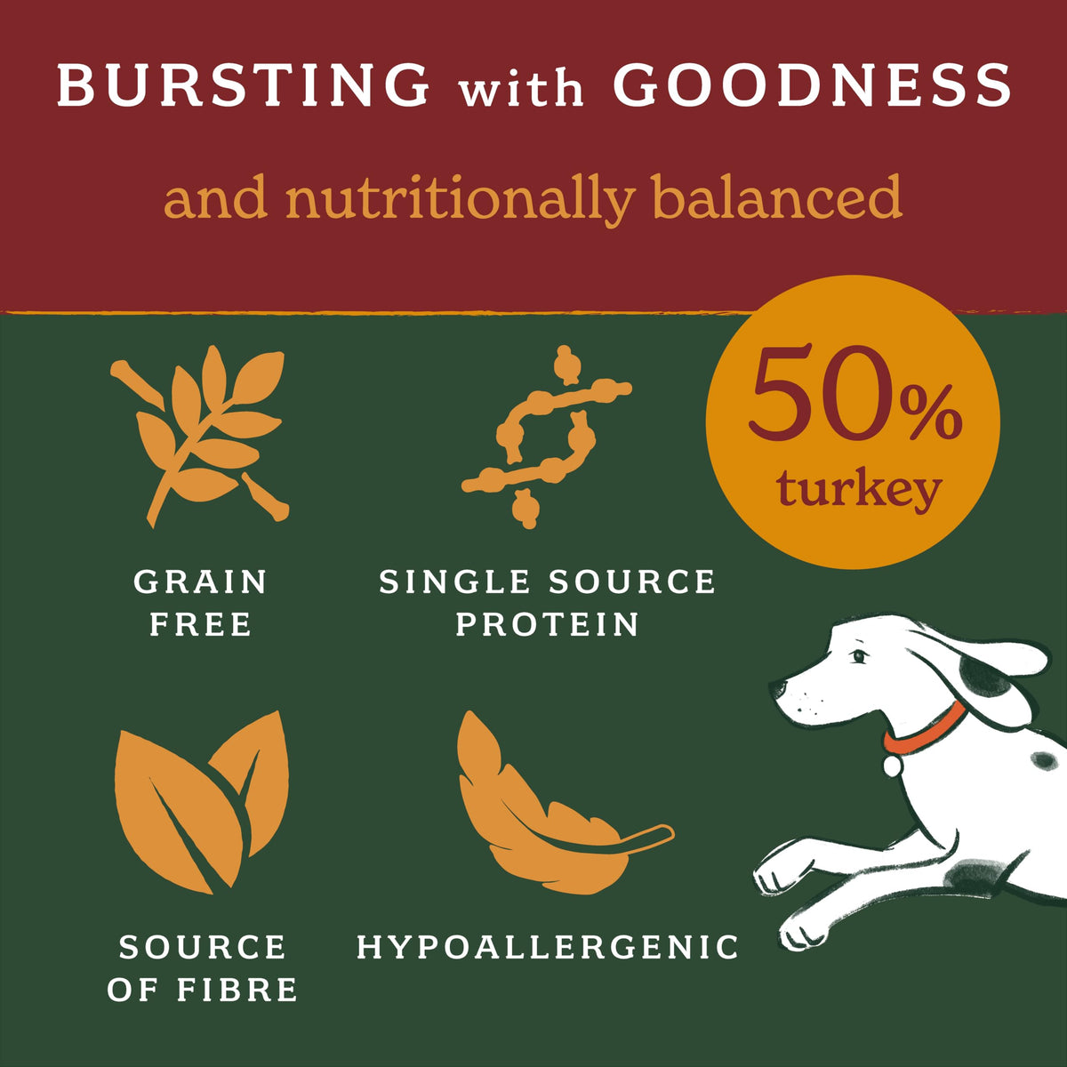 Forthglade Dry Dog Food, Lightly Baked, (2kg), Hypoallergenic and Grain Free Dog Food, Adult 1 Year +, Turkey With Sweet Potato, Completed and Balanced Meal, 50% Single Source Protein
