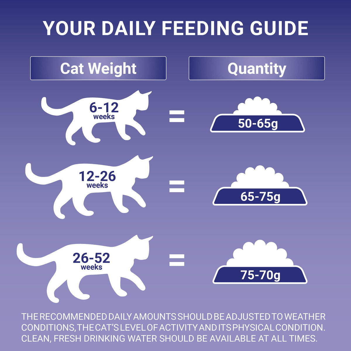 PURINA ONE BIFENSIS Dry Food for Adult Cats, Rich in Chicken, 1 Pack (1 x 5.7 kg)