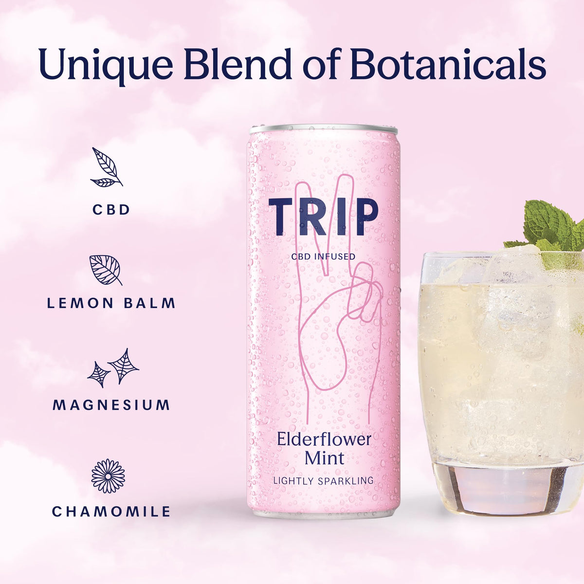 TRIP Sparkling Drink, Low Calorie, Vegan, Peach Ginger, 12 pack
