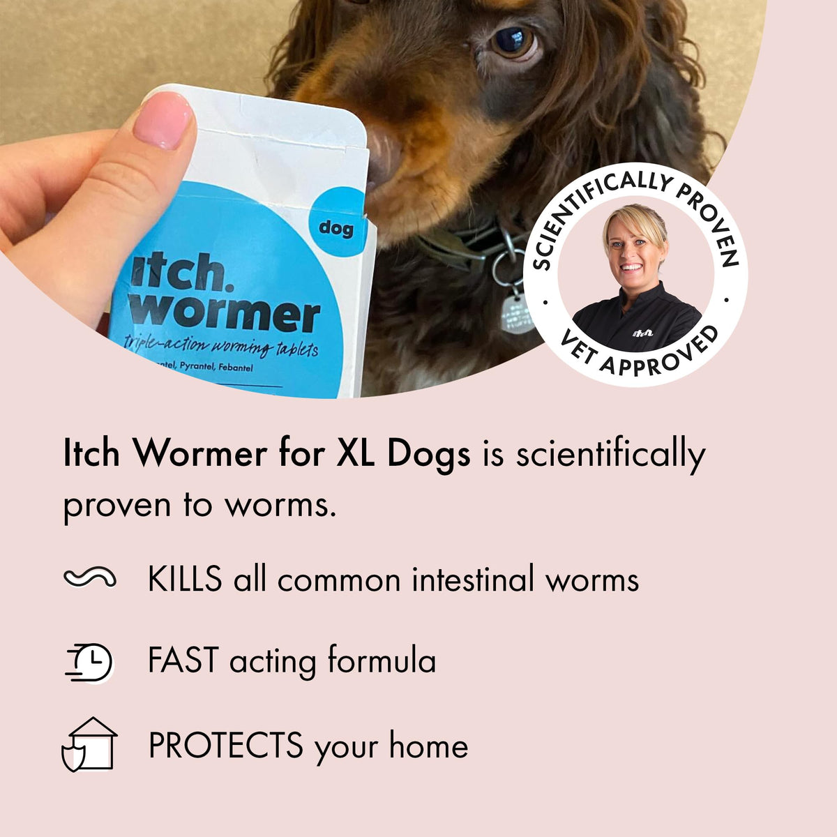 Itch Large Dog (20-40kg) Flea & Tick Treatment and Wormer Bundle
