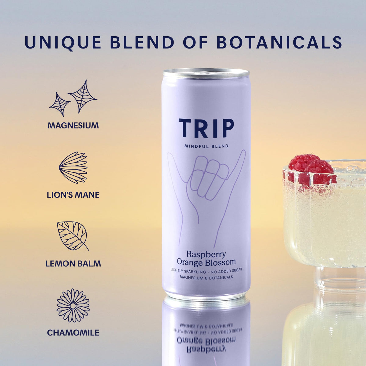 TRIP Calm Magnesium Drink, Sparkling Mocktail, Ultimate Sampler Mix, 12pack