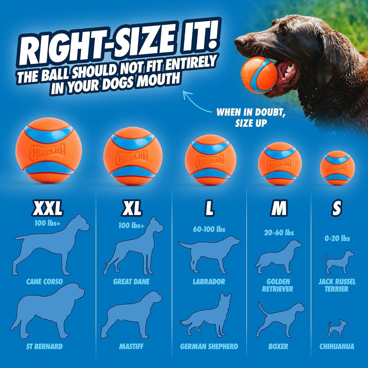 Chuckit! Ultra Ball Durable Rubber Dog Toy, Large, 7.3cm (2-Pack)