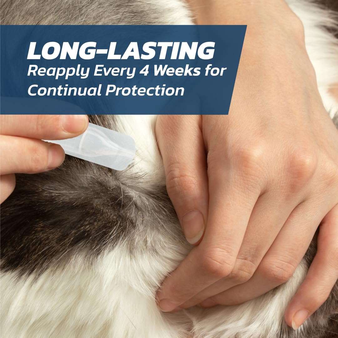 Cat Flea Treatment Spot On x 3 Pack - Flea Treatment Cat Spot On for Cats & Kittens Over 1kg - 3 Pipettes, 3 Doses - Fast-Acting FleaSolve Solution