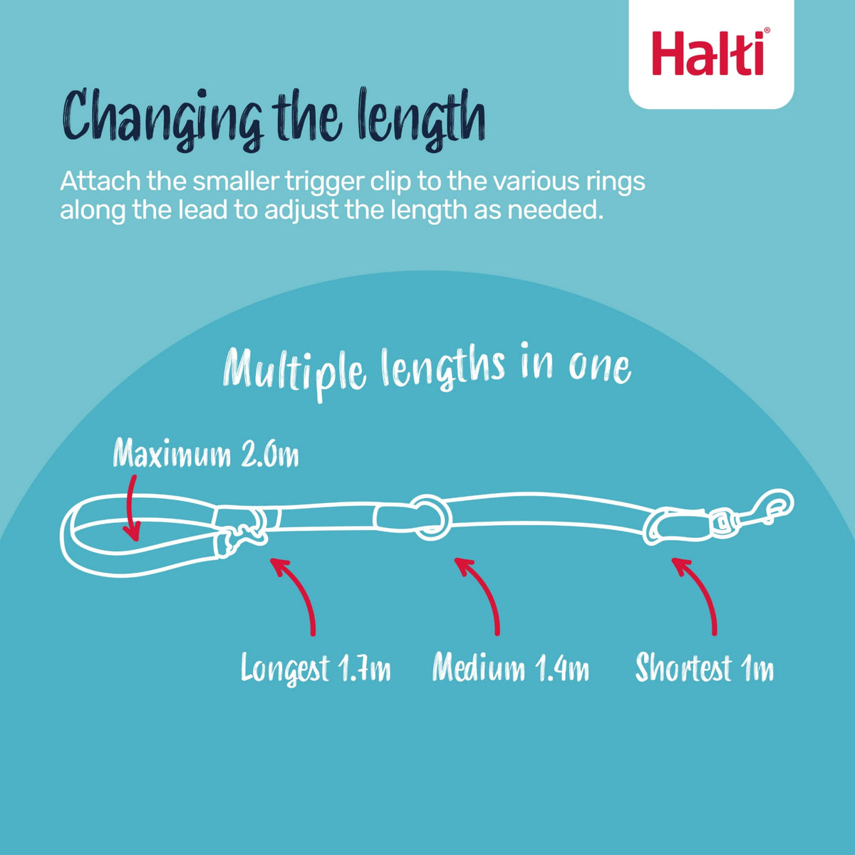 Halti Training Lead for Dogs | Size Small, Black, 2m