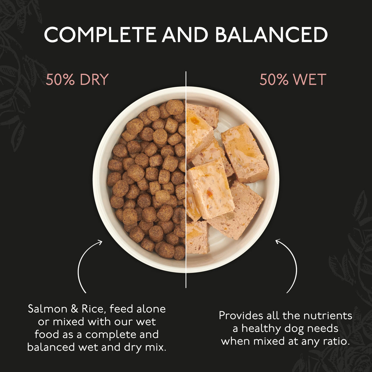 Skinners Field & Trial Salmon & Rice 15kg, Complete Dry Adult Working Dog Food, Gentle Digestion, Glossy Coat