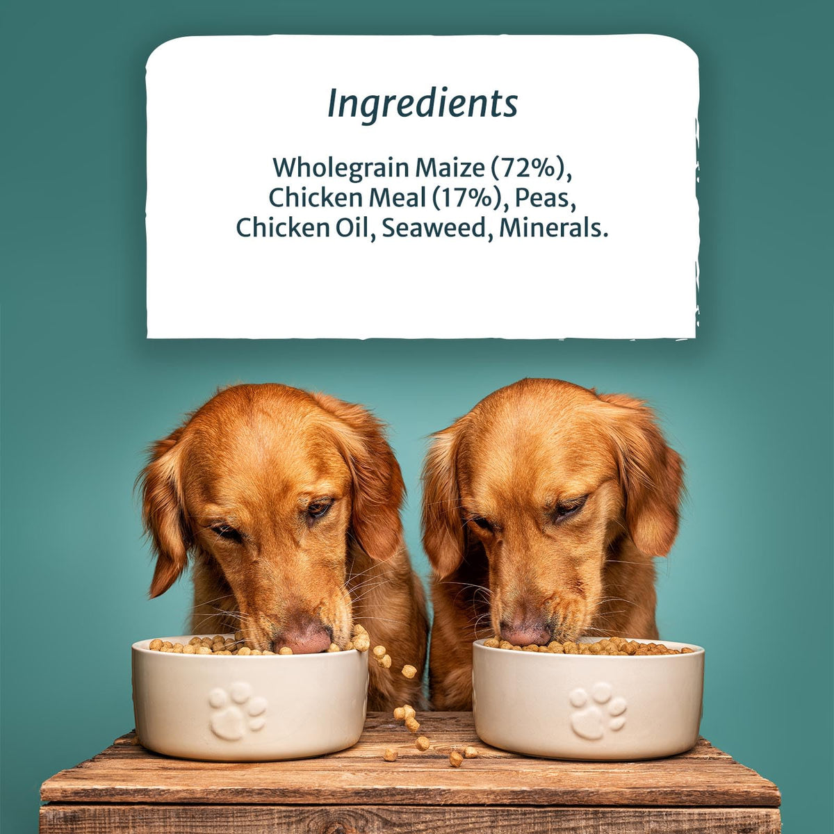 Burns Pet Nutrition Hypoallergenic Complete Dry Dog Food Adult and Senior Dog Sensitive with Pork and Potato 2 kg