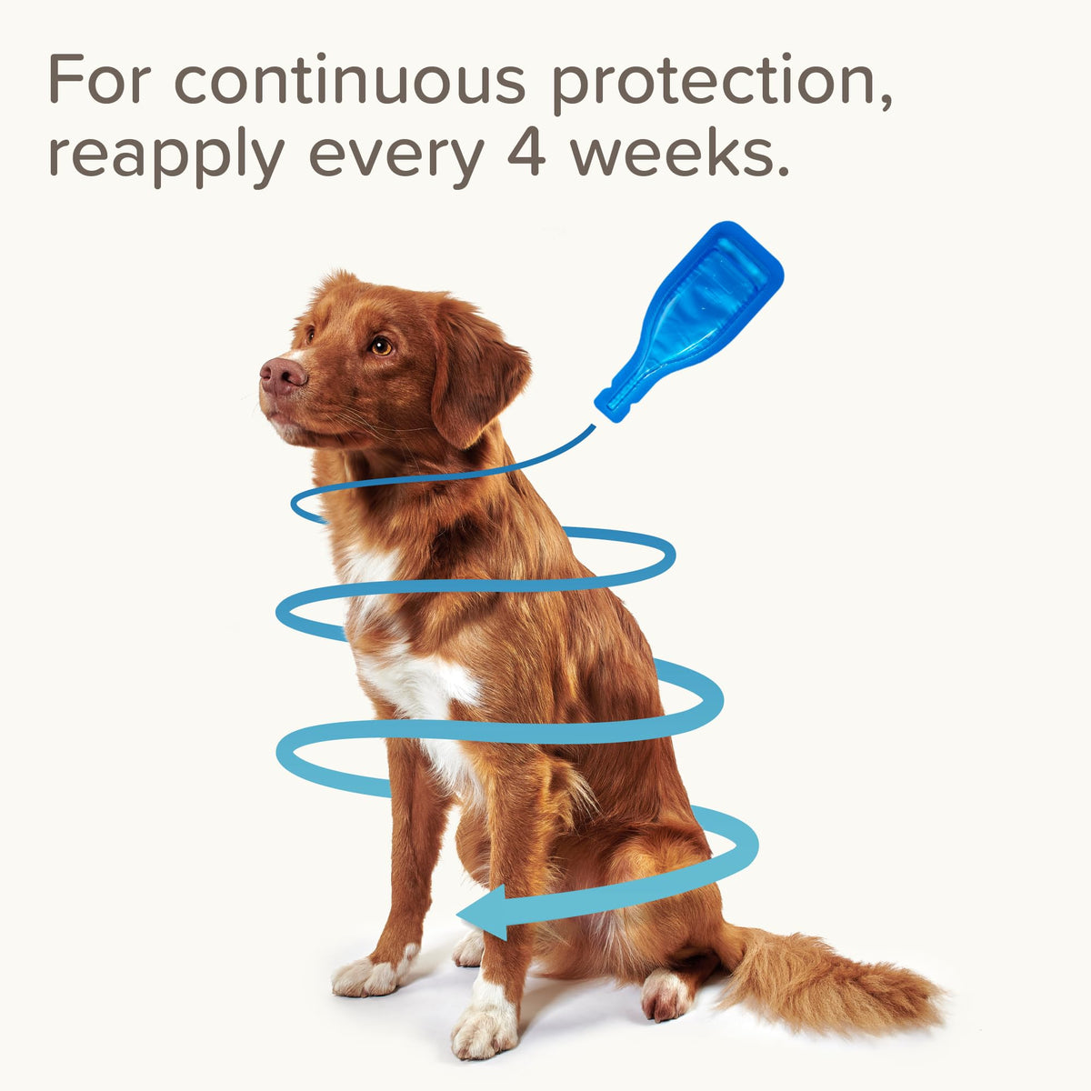 Beaphar - FIPROtec Spot-On Flea & Tick Treatment for Medium Dogs 10-20kg - 6 Pipettes - Kills Fleas & Ticks – Veterinary Medicine - Easy to Apply Monthly - Suitable for Dogs & Puppies from 8 Weeks