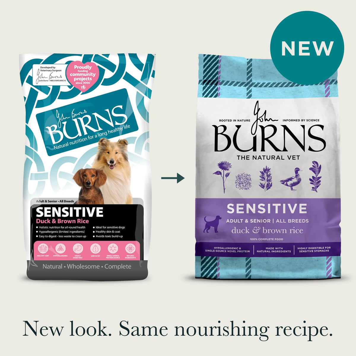 Burns Pet Nutrition Hypoallergenic Complete Dry Dog Food Adult and Senior Dog Sensitive with Pork and Potato 2 kg