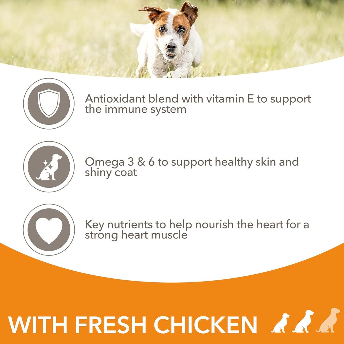 IAMS Adult Small Medium Dry Dog Food Chicken 3kg