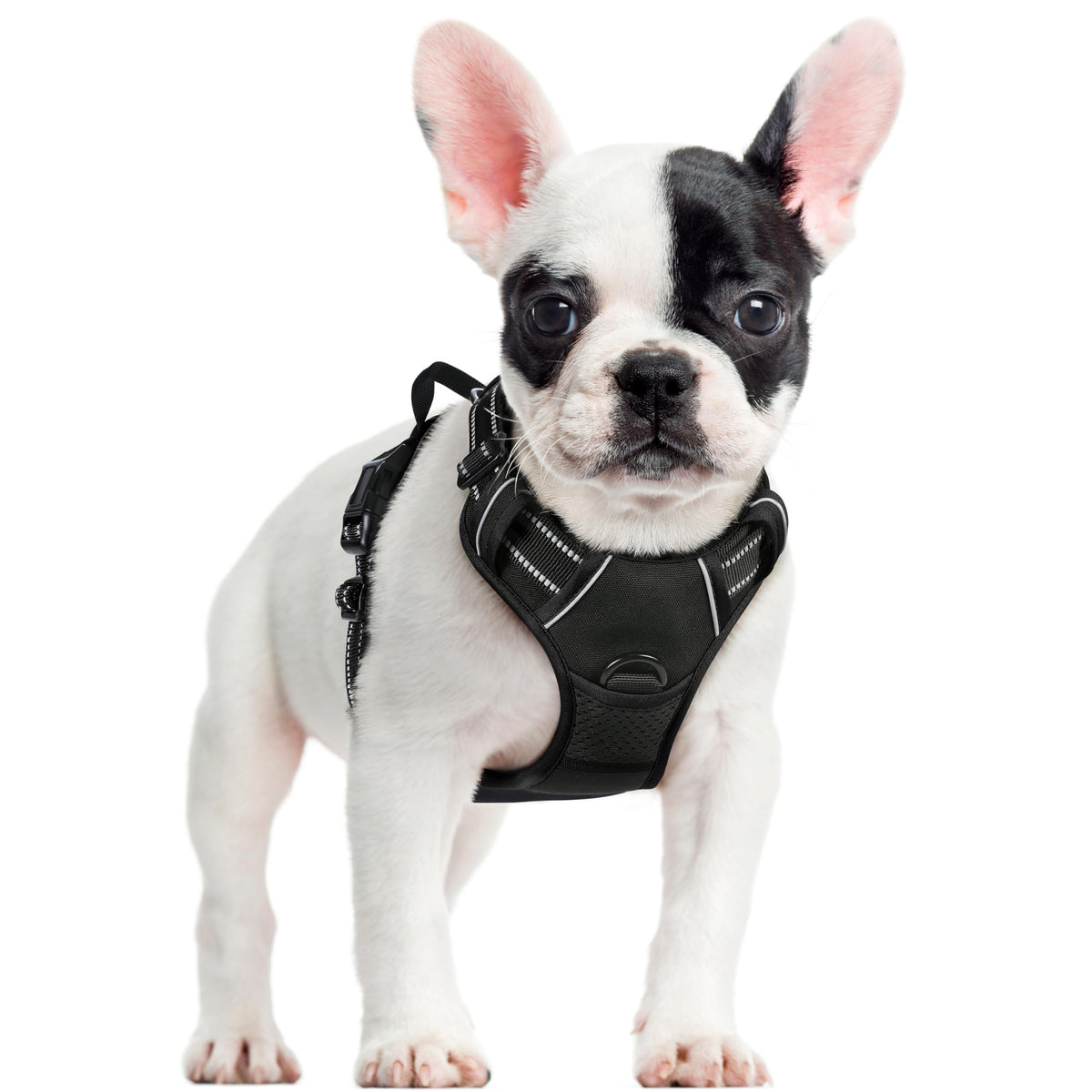 rabbitgoo Dog Harness Large Dog, No Pull Vest with Front Clip & Handle