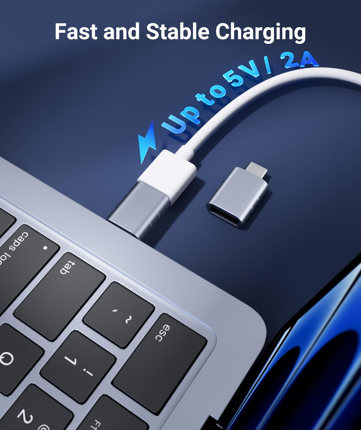Syntech USB C to USB Adapter 2-Pack, Type C Male to USB 3.0 Female Adapter