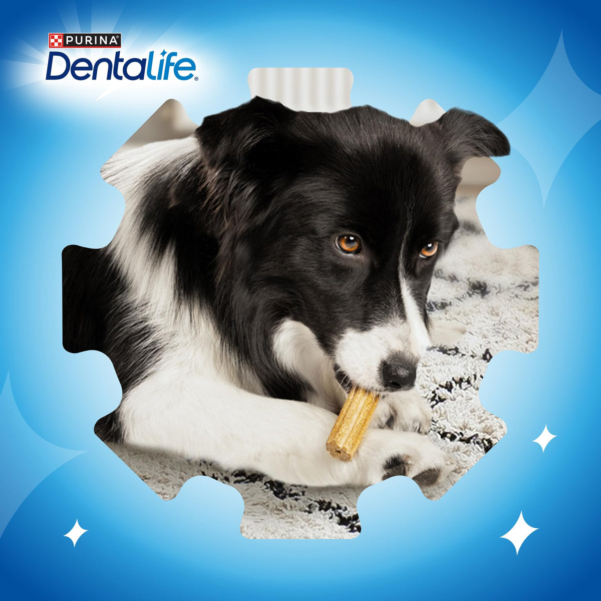 DENTALIFE Dental Chicken Cat Treats 40g (Pack of 8)