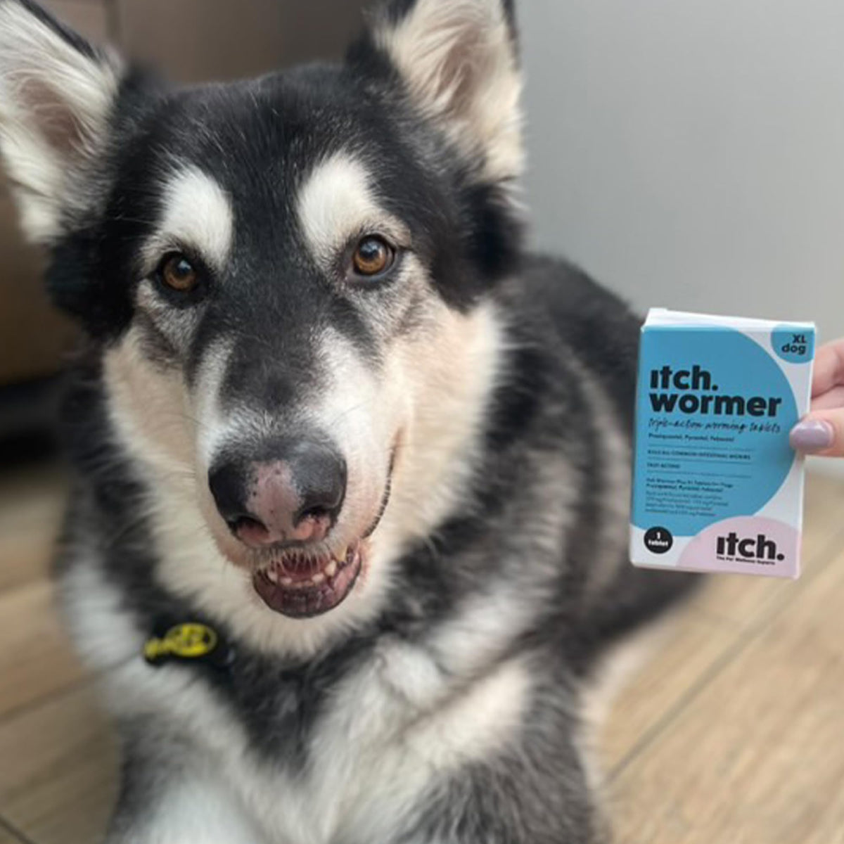 Itch Large Dog (20-40kg) Flea & Tick Treatment and Wormer Bundle