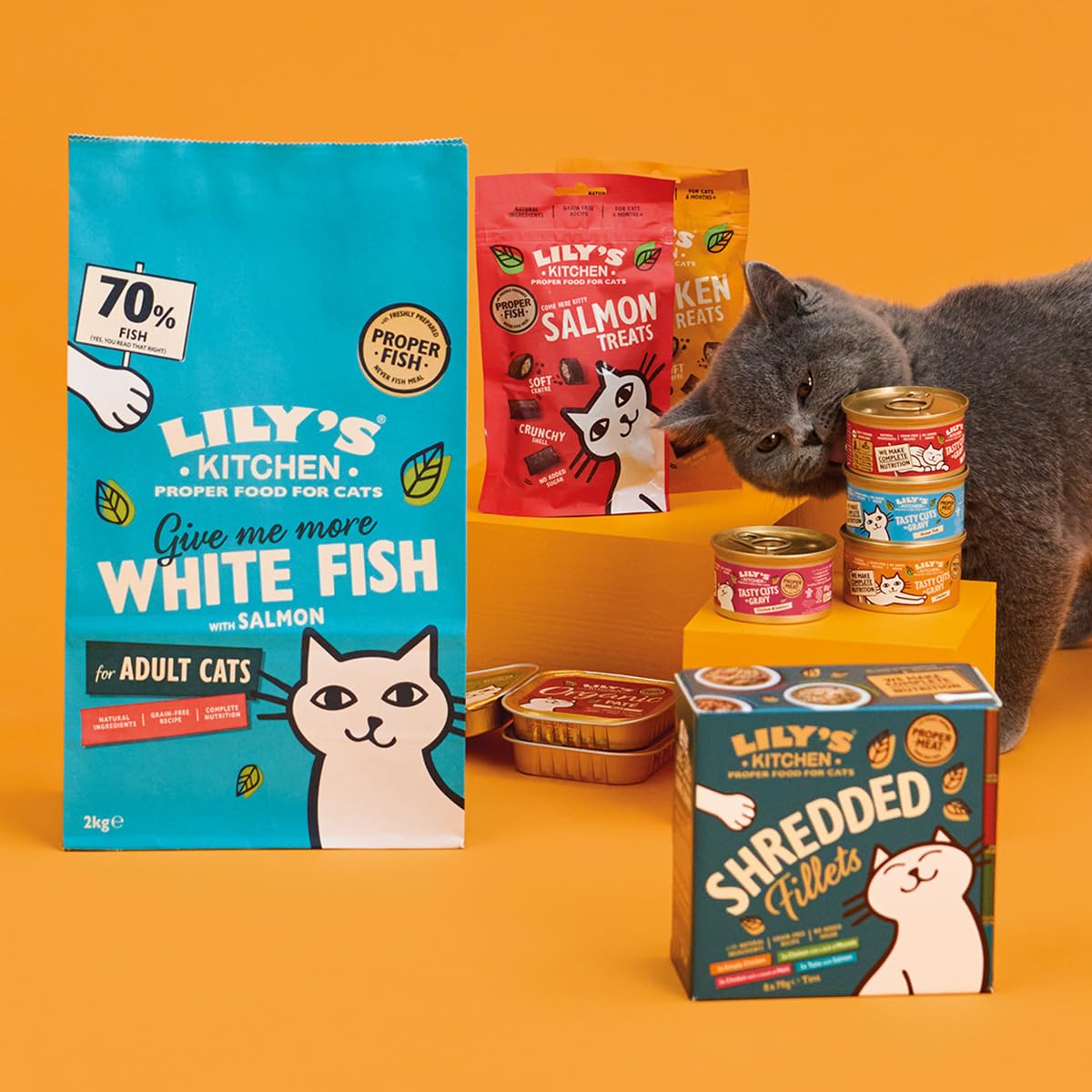 Lily’s Kitchen Chicken with Veggies, Complete, Adult Cat Dry Food (2kg), With Natural Ingredients, Grain-Free Recipe, Balanced Nutrition, Proper Kibble, Dry Cat Food Chicken