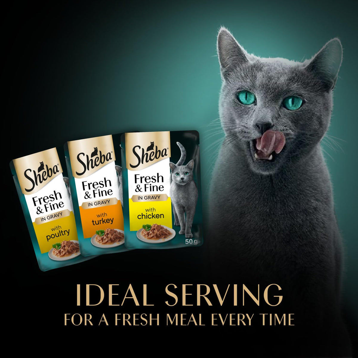Sheba Cat Wet Food - Fresh and Fine - Cat Pouches Poultry in Gravy - 50 x 50 g Pack