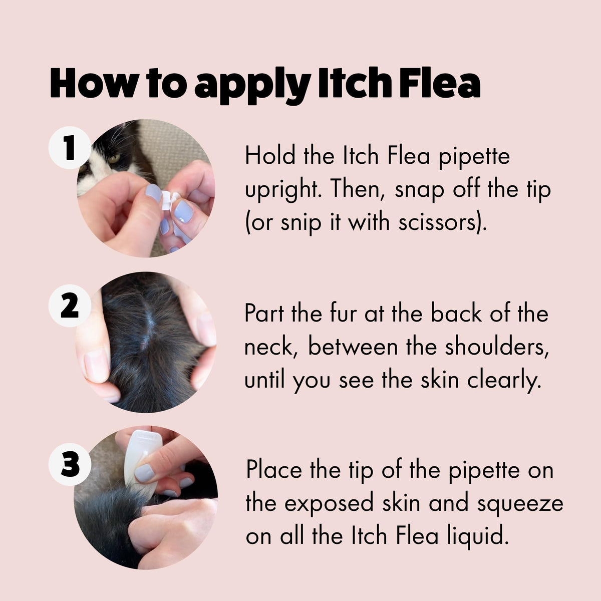 Itch - Flea & Tick Treatment for Cats & Household Flea Spray - Kills Fleas, Lice, Ticks, Eggs and Larvae - With Fipronil and S-Methoprene - Odourless 500ml Spray & Pack of 3 Pipettes