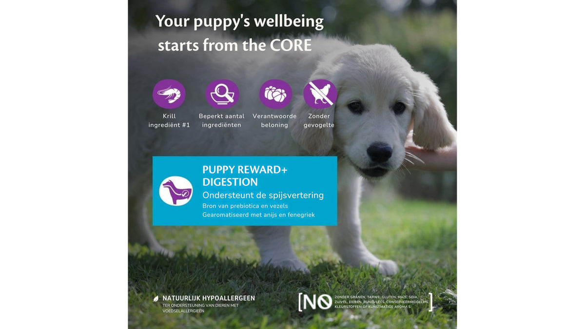 Wellness CORE Puppy Trainers 170g, Chicken & Carrots – Soft Dog Treats