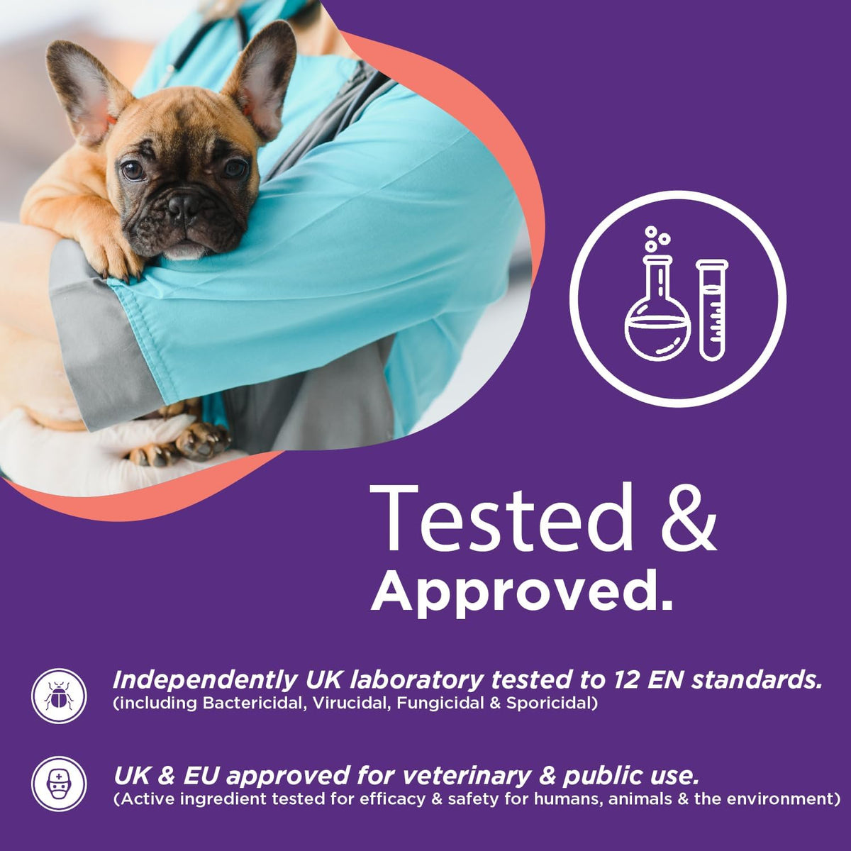RenaSan Animal First Aid Spray (100ml) – Wound Disinfection, Kills Bacteria & Stops Itching, Alcohol-Free, Non-irritating, for Dogs, Cats & all other animals.